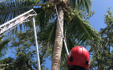 <br />
<b>Warning</b>:  count(): Parameter must be an array or an object that implements Countable in <b>/home/treecareguru/public_html/wp-content/themes/qparadise/templates/content-blog-grid.php</b> on line <b>20</b><br />
