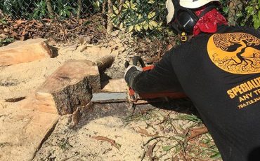 <br />
<b>Warning</b>:  count(): Parameter must be an array or an object that implements Countable in <b>/home/treecareguru/public_html/wp-content/themes/qparadise/templates/content-blog-grid.php</b> on line <b>20</b><br />
