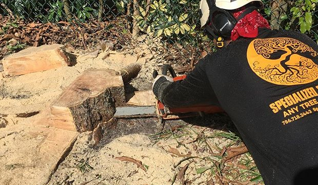 <br />
<b>Warning</b>:  count(): Parameter must be an array or an object that implements Countable in <b>/home/treecareguru/public_html/wp-content/themes/qparadise/templates/content-blog-list.php</b> on line <b>19</b><br />
