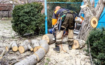 <br />
<b>Warning</b>:  count(): Parameter must be an array or an object that implements Countable in <b>/home/treecareguru/public_html/wp-content/themes/qparadise/templates/content-blog-grid.php</b> on line <b>20</b><br />
