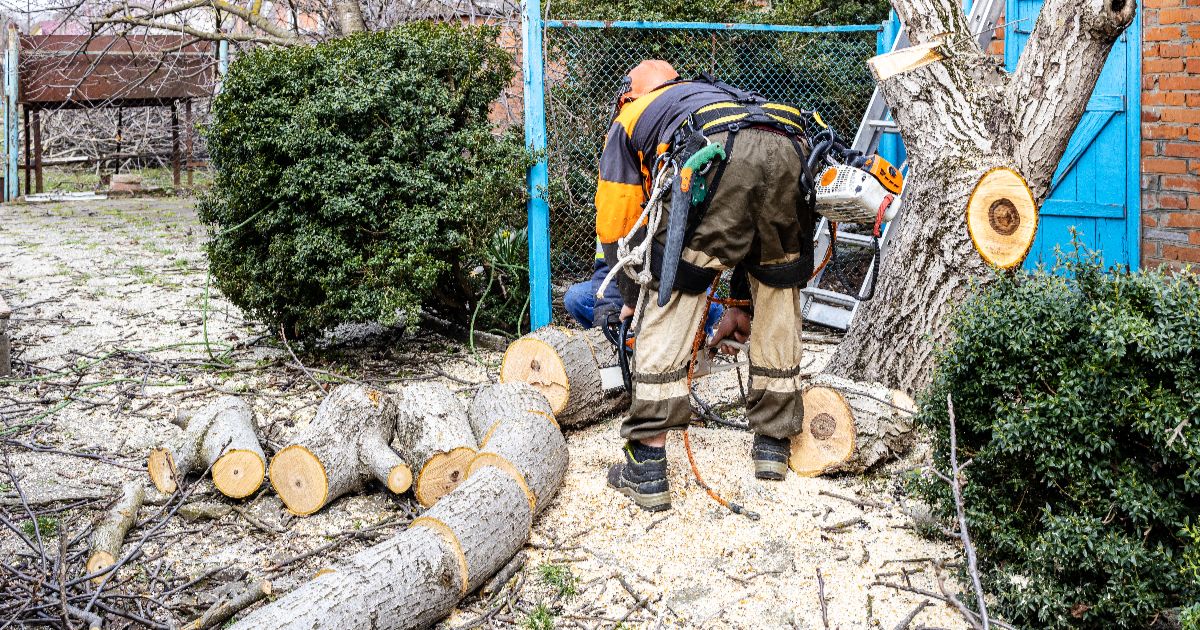 <br />
<b>Warning</b>:  count(): Parameter must be an array or an object that implements Countable in <b>/home/treecareguru/public_html/wp-content/themes/qparadise/templates/content-blog-list.php</b> on line <b>19</b><br />
