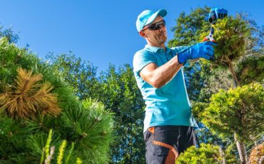 <br />
<b>Warning</b>:  count(): Parameter must be an array or an object that implements Countable in <b>/home/treecareguru/public_html/wp-content/themes/qparadise/templates/content-blog-grid.php</b> on line <b>20</b><br />
