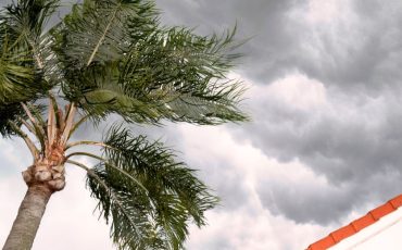 <br />
<b>Warning</b>:  count(): Parameter must be an array or an object that implements Countable in <b>/home/treecareguru/public_html/wp-content/themes/qparadise/templates/content-blog-grid.php</b> on line <b>20</b><br />
