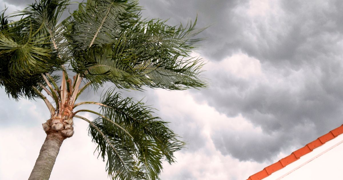 <br />
<b>Warning</b>:  count(): Parameter must be an array or an object that implements Countable in <b>/home/treecareguru/public_html/wp-content/themes/qparadise/templates/content-blog-list.php</b> on line <b>19</b><br />
