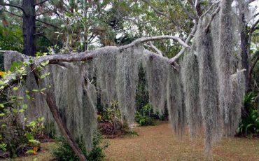 <br />
<b>Warning</b>:  count(): Parameter must be an array or an object that implements Countable in <b>/home/treecareguru/public_html/wp-content/themes/qparadise/templates/content-blog-grid.php</b> on line <b>20</b><br />
