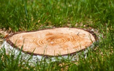 <br />
<b>Warning</b>:  count(): Parameter must be an array or an object that implements Countable in <b>/home/treecareguru/public_html/wp-content/themes/qparadise/templates/content-blog-grid.php</b> on line <b>20</b><br />
